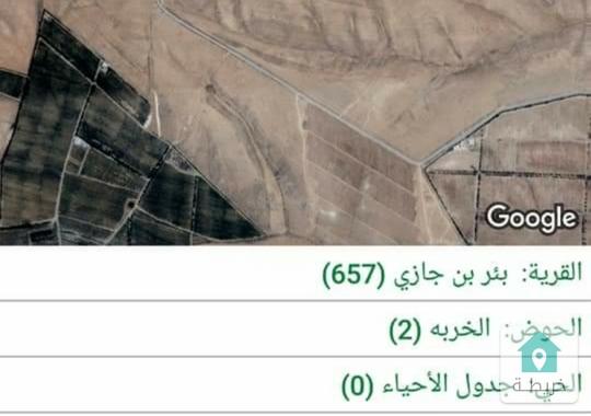 اراضي زراعية مميزه للبيع في منطقه الشوبك بجانب المزارع