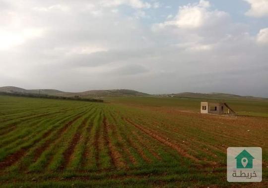 ارض للبيع في مادبا بعد الجامعه الامريكيه 