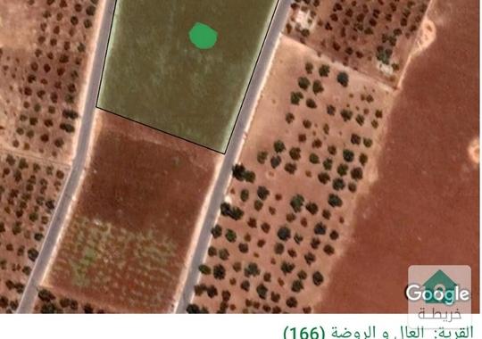 أرض للبيع في منطقة ناعور 