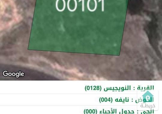 دونم أرض للبيع من المالك في طبربور منطقة النويجيس ضاحية الاستقلال 