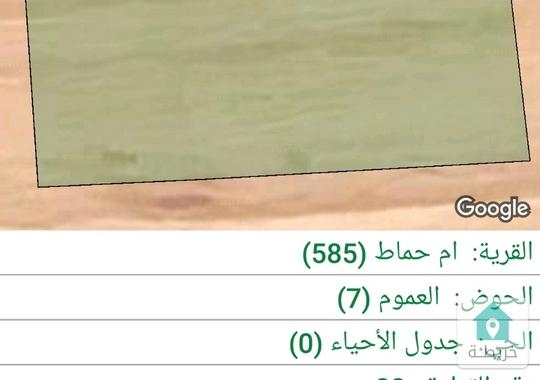 أرض زراعيه للبيع السعر 900 دينار لدنم