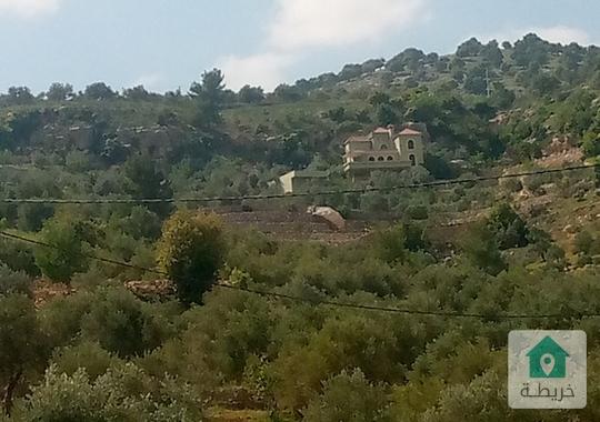 مزرعة اطلالة بانوراما في جرش عصفور للبيع 