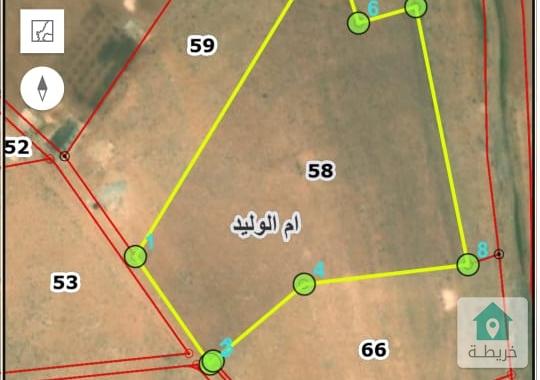 أرض لقطه جنوب عمان للبيع 