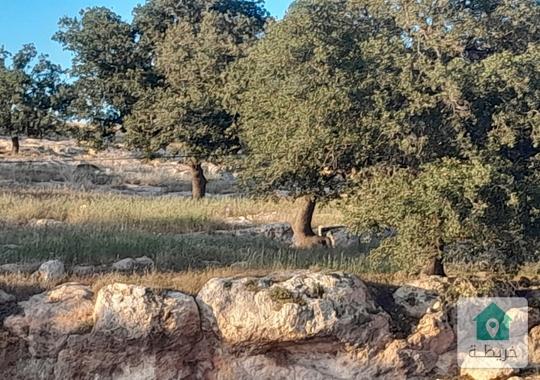 ارض للبيع في بدر الجديده ام نجاحه موقع مميز جدا جدا 