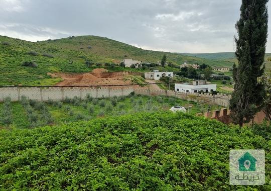 مزرعة للبيع في موقع مميز على تله مطله في الغور القليعات