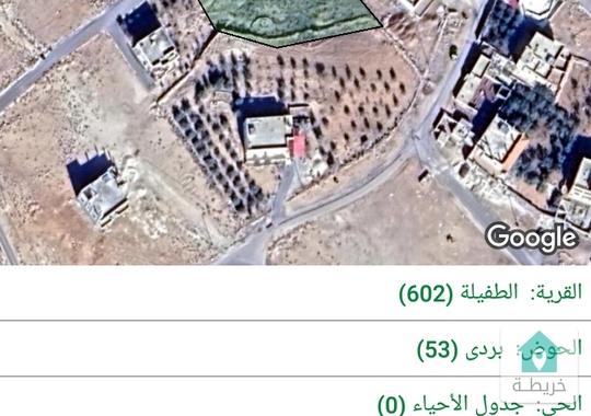 أرض ٤ دونمات في  الطفيلة  العيص