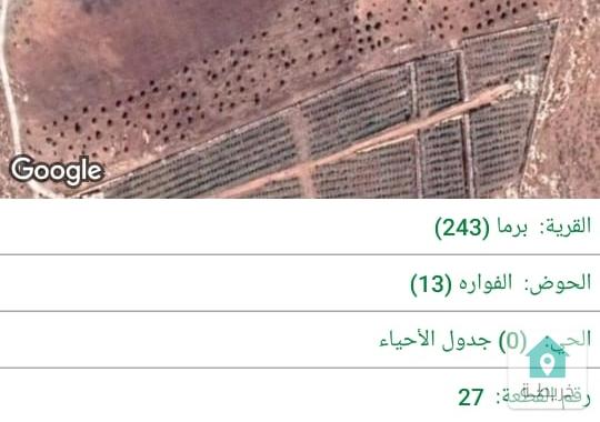 ارض زراعية من المالك مباشرة للبيع 