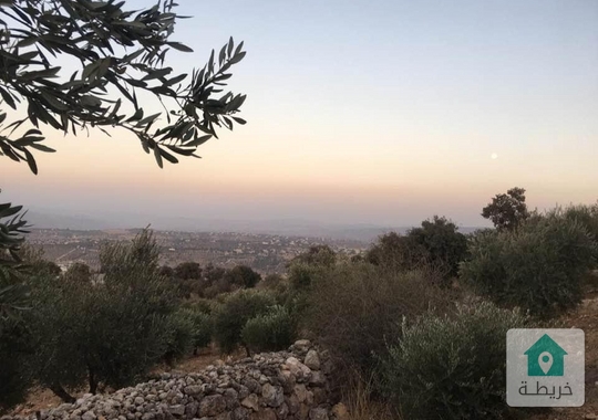 مزرعة للبيع في البلقاء / قضاء العارضه / الصبيحي 