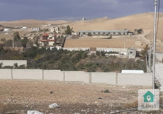 ارض زراعية في المفرق