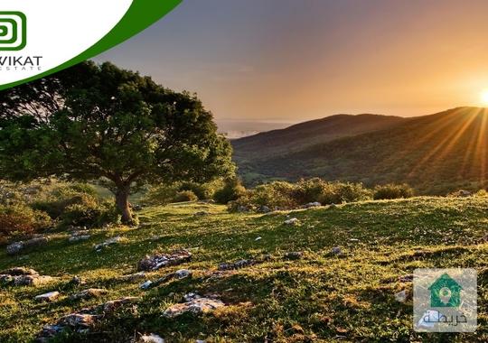 ارض مميزة للبيع في الميده مساحة الارض 12 دونم
