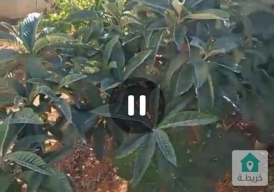 شقة ارضية خلف منطقة الظهير في مرج الحمام بين دوار الشوابكة وام عبهرة على شارعين بسعر مغري جدا