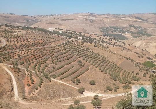 ارض زراعية جميلة جدا في ماحص مطلة على فلسطين وارضي تجاري بصافوط وأراضي في المفرق