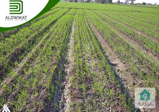 ارض للبيع في الاردن  عمان  طريق المطار القسطل بمساحة 26 دونم