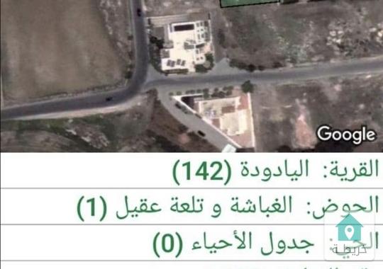 ارض للبيع  طريق المطار - الغباشية وتلعة عقيل 