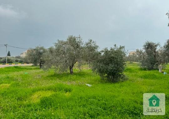 قطعة ارض للبيع في اربد بني كنانة سمر الكفارات مساحه 744 متر مربع على شارعين قوشان مستقل