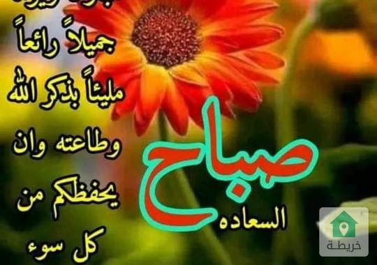ارض للبيع على شارع المطار الرئسي عند وزارة الخارجيه على شارع امامي خلفي مساحه 1400 متر 