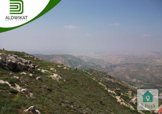 ارض مميزة للبيع في الاردن  عمان  الظهير بمساحة 790 م