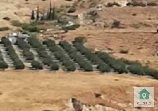 ارض للبيع في اربد سد وادي العرب