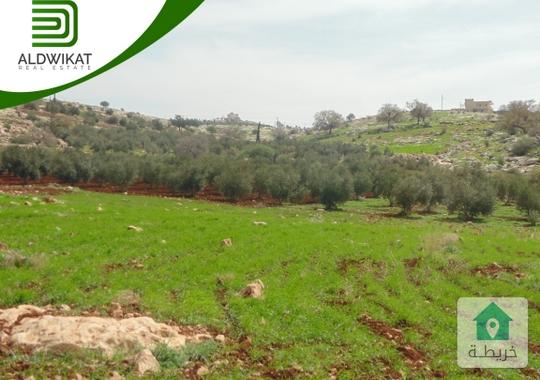 ارض للبيع في طريق المطار ام العمد مساحة 2 دونم منطقة مزارع وشاليهات