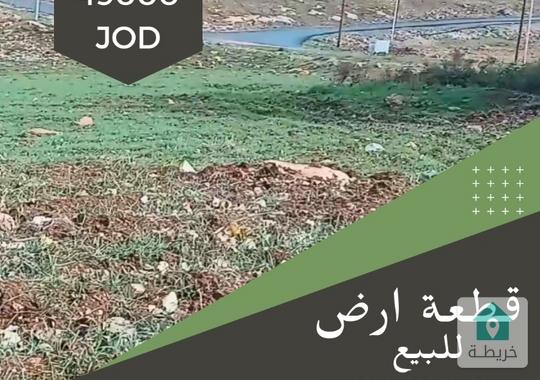 ارض للبيع في إربد - قرن الجاموس خلف مدرسة حفصة بنت عمر الأساسية المختلطة مساحة 666 متر مربع من المال