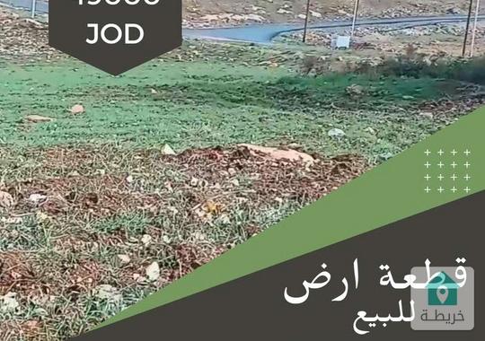 ارض للبيع في إربد - قرن الجاموس خلف مدرسة حفصة بنت عمر الأساسية المختلطة مساحة 666 متر مربع من المال