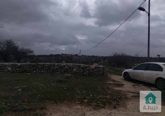 قطعة أرض من أراضي عجلون صخره  مساحة21دونم مسنسله مزروعه لوز وزيتونيوجد فيها غرفه ومطبخ وحمام  وبئر 