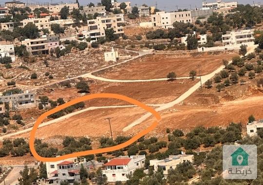 نمرتين للبيع في رحابا _ اربد واحده مساحتها ٨٣٩ متر والثانية  ٧٩٣ متر 