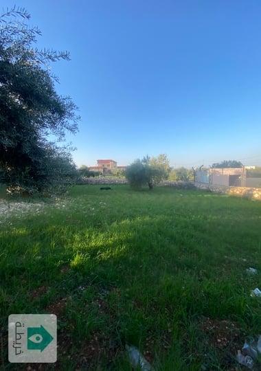 للبيع قطعة أرض في السلط  أم العمد