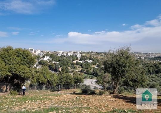ارض لقطة للبيع في بدر الجديدة حوض الميسر من المالك مباشرة