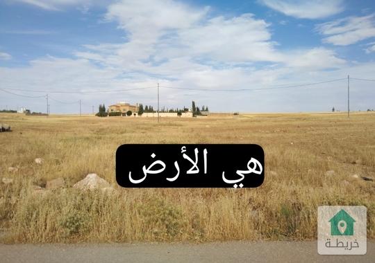 للبيع عشرة دونم في الذهبيه الغربية قريب على جميع الخدمات 