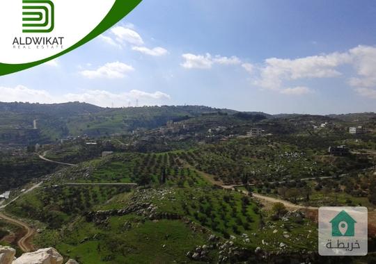 ارض للبيع في ماحص مساحة الارض 2000 م يوجد عليها بناء قديم مساحته 400م
