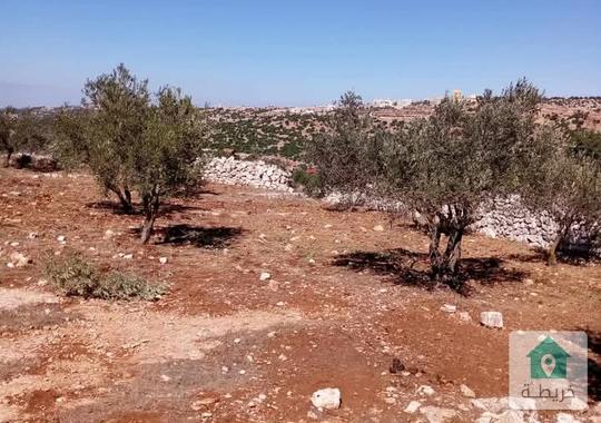 ارضي بموقع مرتفع واطلاله جميلة عجلون راسون للبيع 