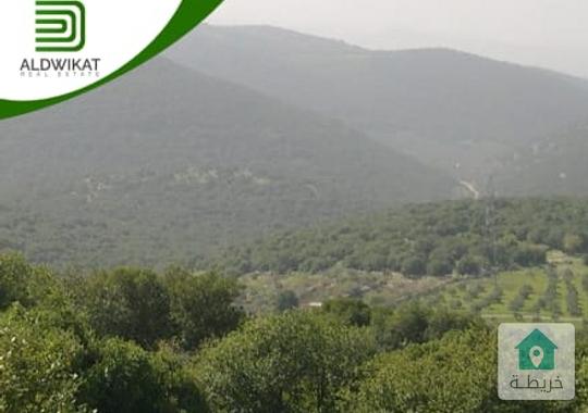 ارض للبيع على طريق المطار قرب منتزه غمدان مساحة 4850م