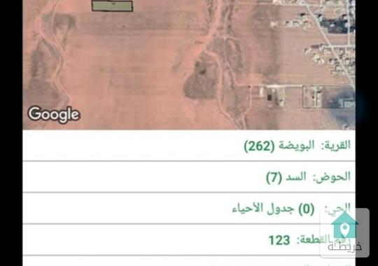 قطعة أرض خمسة دونمات مفروزة قوشان مستقل من المالك مباشرةالرمثا / قرية البويضة  