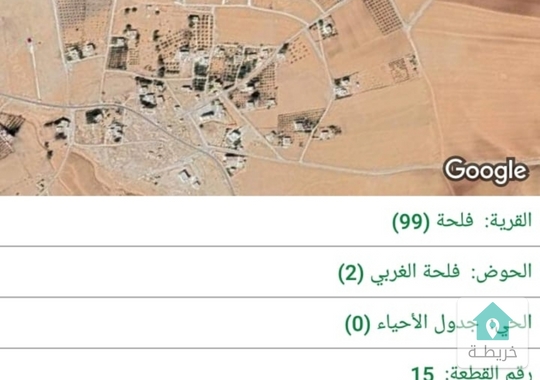 قطعه ارض مميزه تصلح لعمل مزرعه زيتون في فلحه في ذيبان