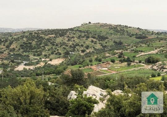 مزرعة للبيع  في محافظة عجلون شالي المملكة الاردنية الهاشمية وتتمتع بموقع مرتفعة بإطلالة