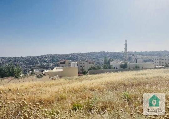 ارض للبيع في السلط بإطلالة دائمة
