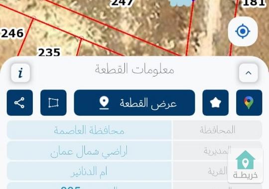 أرض للبيع في محافظة العاصمه قرية ام الدنانير