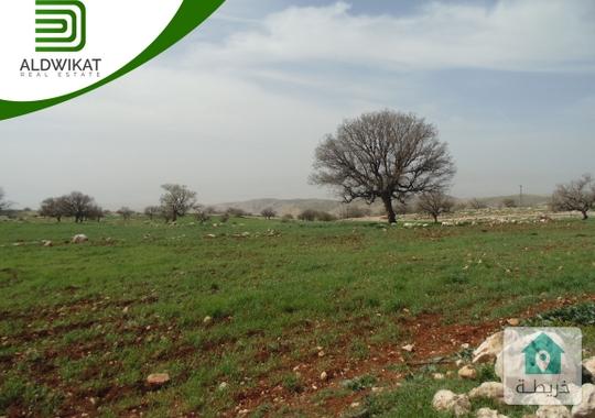 ارض للبيع في شفا بدران بمساحة 1510م