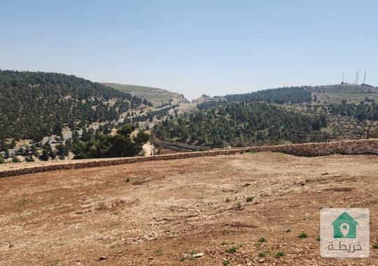 فرصة استثمارية في مشروع في جرش يتكون من 3 قطع متجاوره تبقى قطعتان مساحة 3400م