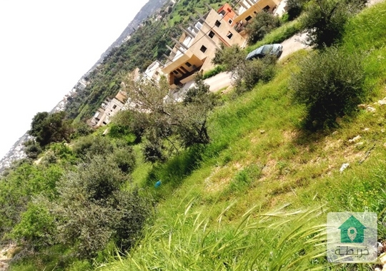 ارض للبيع في ماحص حوض ام قلعة