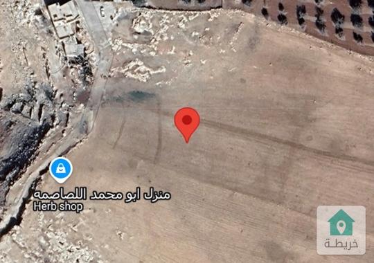 الكرك اراضي القصر صرفه