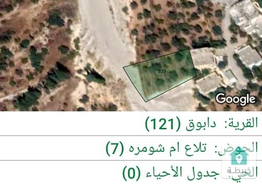 ارض للبيع في دابوق ذات موقع فاخر وبسعر مغري