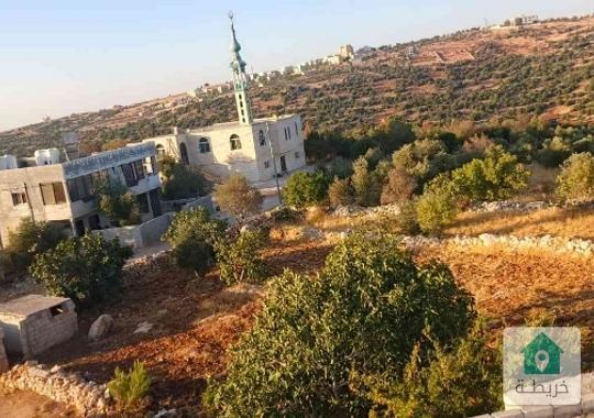 ارض للبيع راسون عجلون بالقرب من المحمية عجلون مرتفعه مطلة 