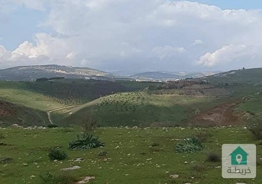 ارض زراعيه للبيع في جرش الكفير بسعر مميز 