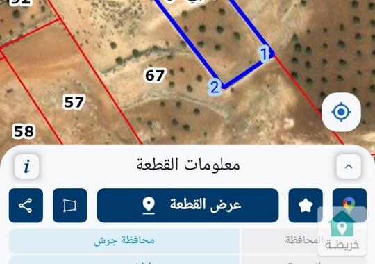قطعة أرض للبيع جرش النبي هود