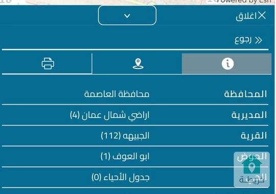 ارض للبيع في الجبيهة 