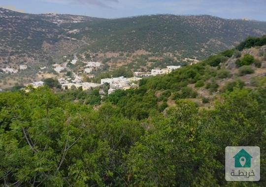 قطعة ارض للبيع في عجلون راسون منطقه جميلة وإطلالة رائعه قريبة من محمية عجلون 