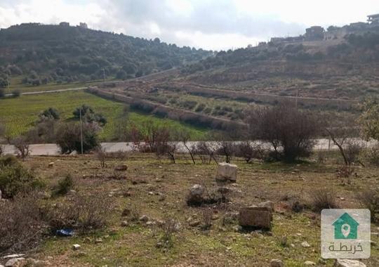 ارض للبيع من أراضي صخره عجلون مقسمه نمرتين   المساحه الكليه تسعه دونم  على شارع رئيسي   قابل بيع