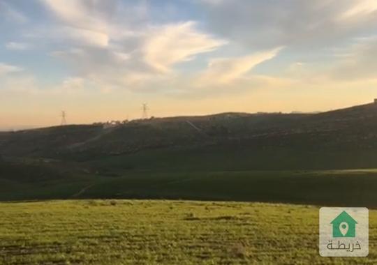 ارض للبيع في شفا بدران  زينات الربوع 